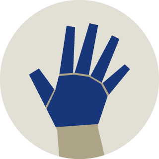 手の指・手の甲