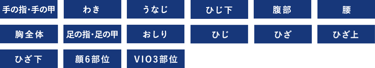 全身(顔・VIOあり)