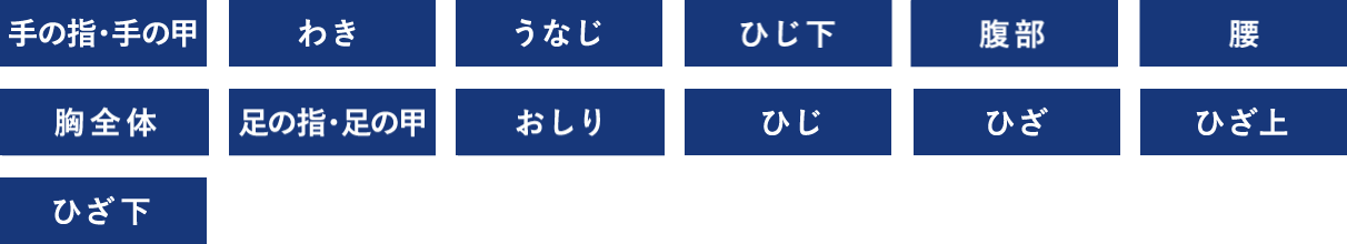全身(顔・VIOなし)
