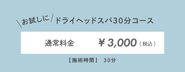 ドライヘッドスパ30分コース税込3,000円