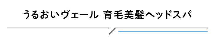 うるおいベール育毛美髪ヘッドスパ