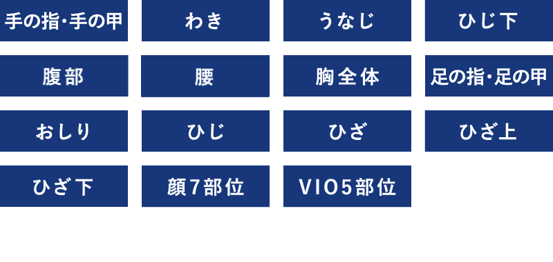 手の指 手の甲 わき うなじ ひじ下 腹部 腰 胸元全体 足の指 足の甲 ひざ下 おしり ひざ上 顔7部位 VIO5部位