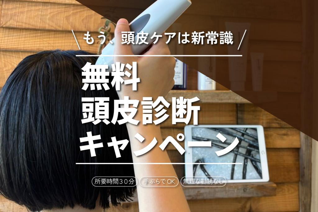 無料頭皮診断キャンペーン】で頭皮ケアの第一歩を！！ | お知らせ